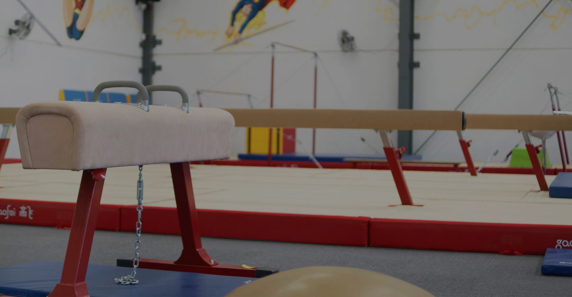 Athleta Gymnastics - Altona North